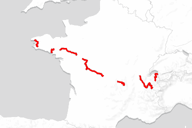 Tour de France Femmes route map